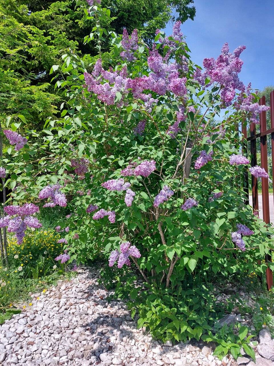 Фото Гостиницы Куршавель Байкальск 55