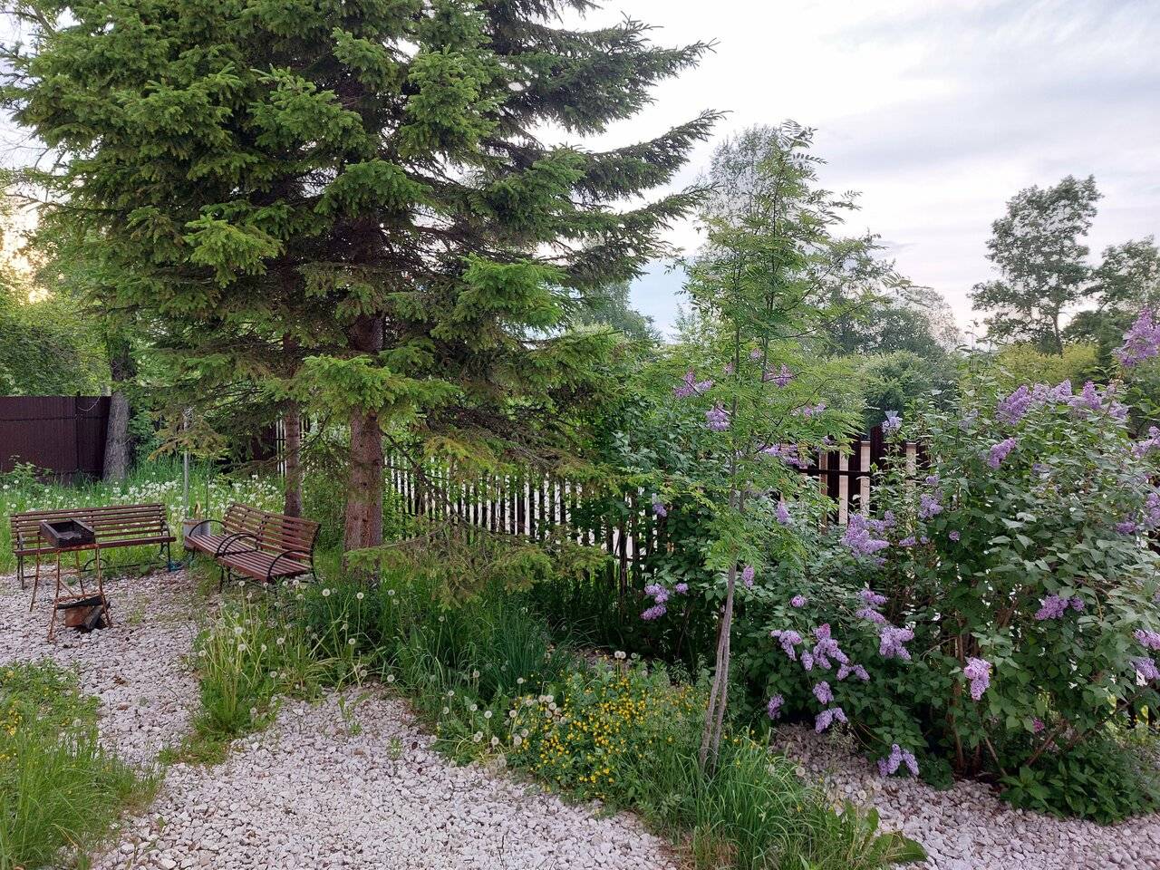 Фото Гостиницы Куршавель Байкальск 51